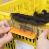 Wholesale 5x5 Remy Indian Human Swiss Lace Closure Loose Wave