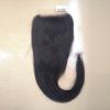 Wholesale 5x5 Remy Indian Human Swiss Lace Closure Straight